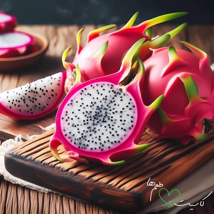 بنر ماکیتل اژدها کاسیت